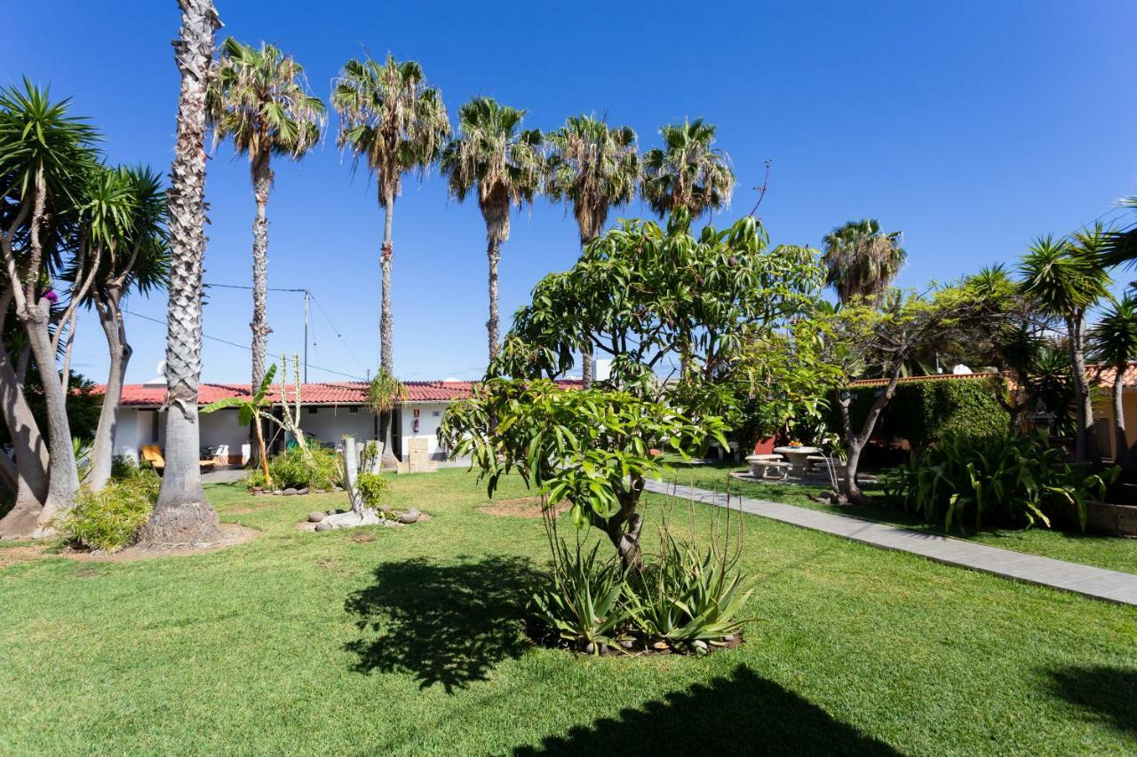 Finca La Gaviota - Los Limoneros Icod De Los Vinos Exteriör bild