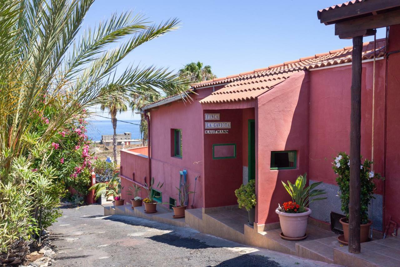 Finca La Gaviota - Los Limoneros Icod De Los Vinos Exteriör bild