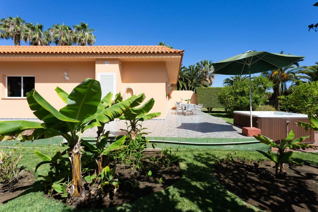 Finca La Gaviota - Los Limoneros Icod De Los Vinos Exteriör bild